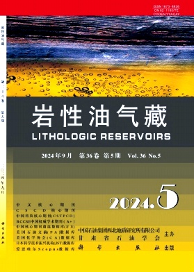 岩性油气藏封面